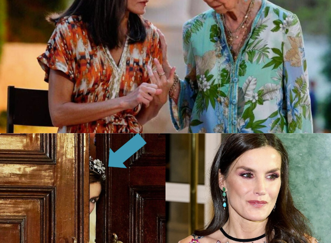 Letizia, visitas a escondidas, entra y sale por la puerta de atrás para que no la vea nadie