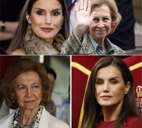 El feo gesto de Letizia con Doña Sofía en Asturias que no ha gustado nada en redes