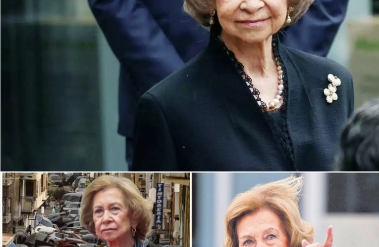 La Reina Sofía lo ha vuelto a hacer: nueva y gran donación a los afectados por la DANA