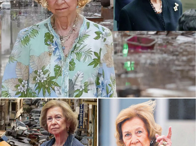 La Reina Sofía lo ha vuelto a hacer: nueva y gran donación a los afectados por la DANA