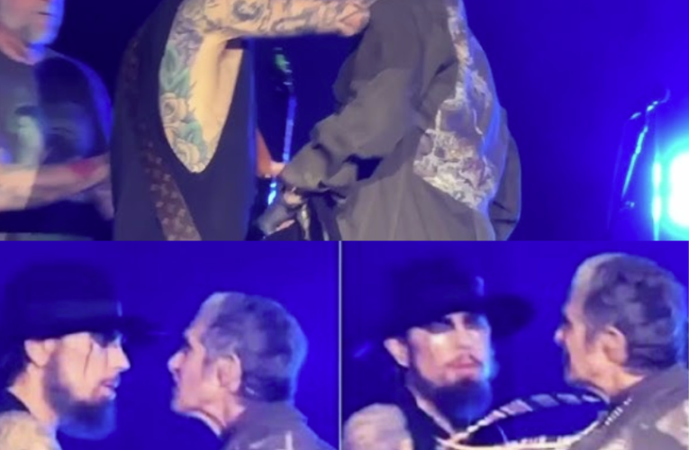 Boston bust-up as bandmates brawl at Jane’s Addiction reunion gig