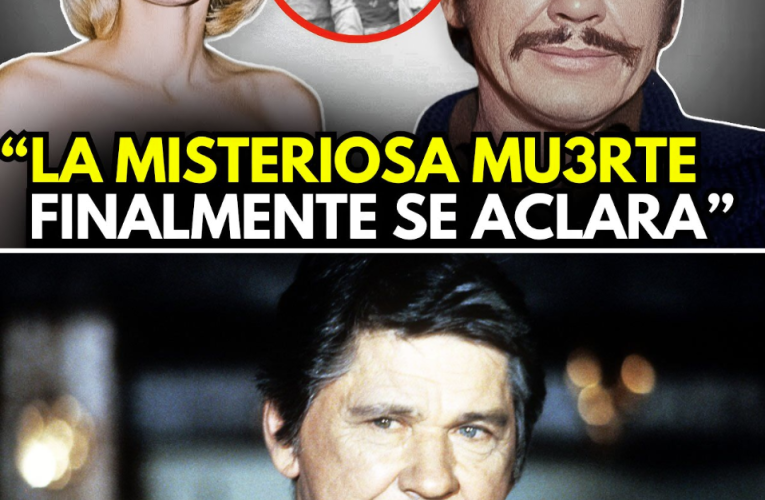 Charles Bronson: De la mina de carbón a la gran pantalla